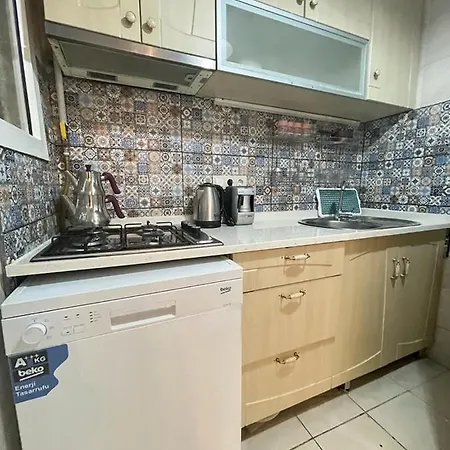 Smf Suites 2+1 Flat Istanbul